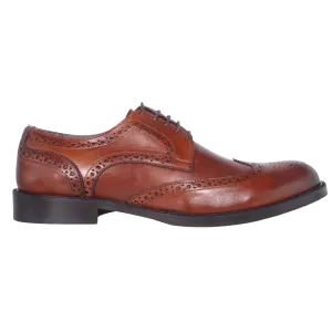 Aliverti Oxford Brogue in Brown