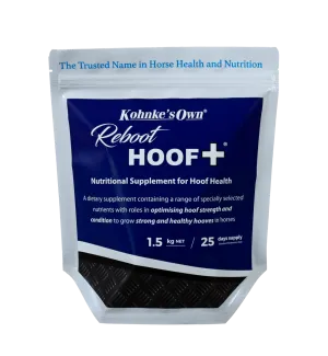 Kohnke's Own Reboot HOOF 